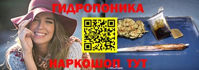 гидропоника Берёзовский