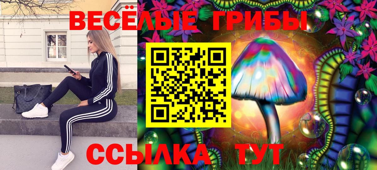 Галлюциногенные грибы ЛСД  Вход с VPN  Беслан 